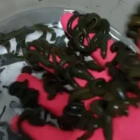 زالو طبی درشت