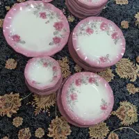 سرویس ۱۸نفره  آرکوپال خوشرنگ