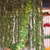 گل ریسه دومتری