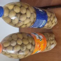زیتون|خوردنی و آشامیدنی|شیراز, معالیآباد|دیوار