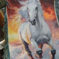 فروش فرش گعبه قالیچه رنگ گیاهی|فرش|تبریز, |دیوار