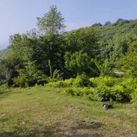 فروش فوری قطعه زمین باغی ۵۰۰متری منطقه بکر اطاقور|فروش زمین و ملک کلنگی|اطاقور, |دیوار