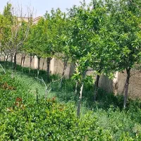 کامرانیه1500متر ملک اباد املاک شاهکار
