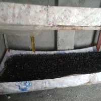 خاک کمپوست قارچ