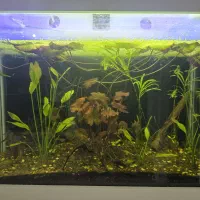 آکواریوم خم ۹۰ درجه کمدار پایه دار|ماهی|مشهد, فاطمیه|دیوار