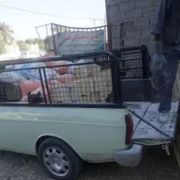 پیکان کرایه جیرفت