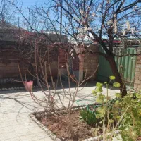 سوئیت اجاره ای|اجارهٔ کوتاه‌مدت آپارتمان و سوئیت|ناغان, |دیوار