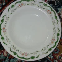 ده عدد بشقاب چینی سالم جنس خوب|ظروف سرو و پذیرایی|آستانه اشرفیه, |دیوار