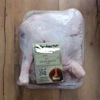 ران بوقلمون