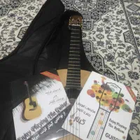 گیتار پویا حرفه ای