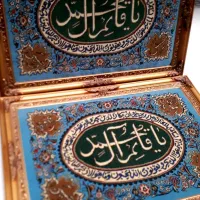 یک جفت تابلو فرش دستباف کاشان|تابلو فرش|تهران, ونک|دیوار