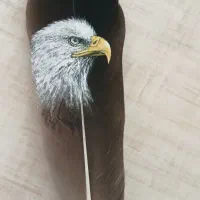 نقاشی روی پر|تابلو، نقاشی، عکس|تهران, حکیمیه|دیوار