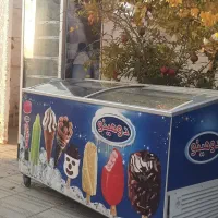 فریزر کیلما سان درحد نو