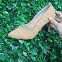 کفش مجلسی|کیف، کفش، کمربند|بهارستان, |دیوار