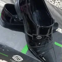 کفش مجلسی مردانه|کیف، کفش، کمربند|تهران, خاک سفید|دیوار