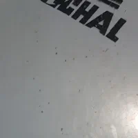سایدرام برند Alichal