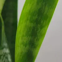 طراحی سایت