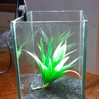 اکواریم کوچک فایتر با چراغ ،تنگ استوانه با چراغ