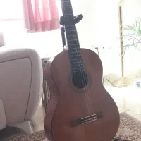 گیتار  c40