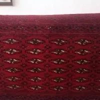 دوعدد پشتی مناسب برای کافه ورستوران|پشتی|کرمان, |دیوار