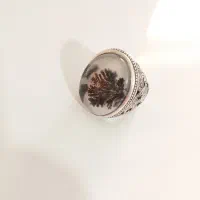 انگشتر شجر تک درخت کلکسیونی رکاب سیاه قلم|جواهرات|میاندوآب, |دیوار