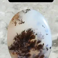 انگشتر شجر منظره ایی