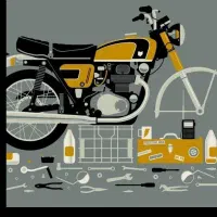 * تعمیرگاه تخصصی موتور سیکلت میلاد مخصوص بانوان*