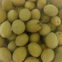 زیتون شور|خوردنی و آشامیدنی|مینودشت, |دیوار