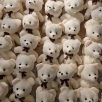 عروسک خرس باکسی ۱۵سانتی و رنگ متنوع