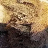 10بسته جارو دستی|لوازم نظافت|میاندوآب, |دیوار