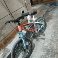 دوچرخه 20 رالی