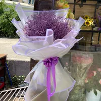 جشنواره رزطبیعی فقط شاخه ای ۲۰هزارانواع گلهاطبیعی