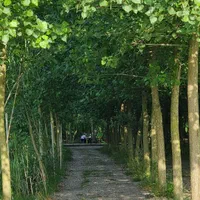 درمجموعه ای آبی وجنگلی، ملکی متفاوت خریداری کن|فروش خانه و ویلا|نی‌ریز, |دیوار