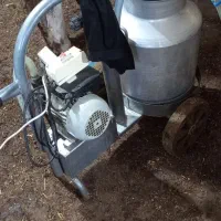 شیردوش ایرانی وترک