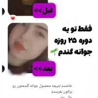 پودر جوانه گندم بین استار چاقی صورت100%تضمینی|خوردنی و آشامیدنی|اهواز, سپیدار|دیوار