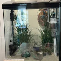 ست کامل آکواریوم با تجهیزات حرفهای|ماهی|تهران, قیطریه|دیوار