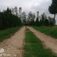 زمین مسکونی و باغی|فروش زمین و ملک کلنگی|رشت, بالاکویه|دیوار