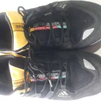 کفش|کیف، کفش، کمربند|سردشت, |دیوار