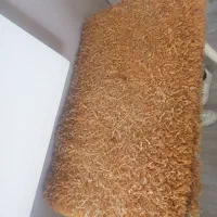 پادری