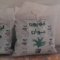 پخش خاک برگ جوان|گل و گیاه طبیعی|کرج, شهرک یاس شمالی|دیوار