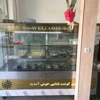 فروش فوری یخچال ویترینی