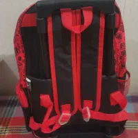 کیف چرخدار