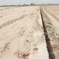 فروش ۱ هکتا۵۰۰متر مرغ داری ز جاده اهواز و حمیدیه|فروش دفتر صنعتی، کشاورزی، تجاری|اهواز, کمپلو جنوبی|دیوار