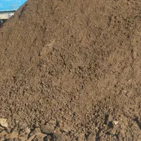 کود گوسفندی