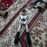 قیچی اخته حیوانات اهلی