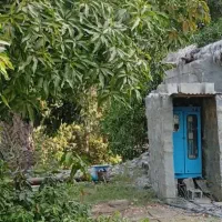 باغ برنطین یک هکتار|فروش دفتر صنعتی، کشاورزی، تجاری|رودان, |دیوار