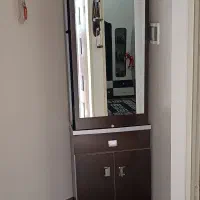 جا کفشی در حد نو و کاملا سالم .