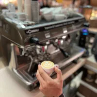 باریستا، سالن کار و فروشنده در کافه قنادی رکس