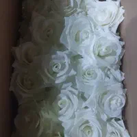 گل رز مصنوعی همه رنگ