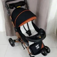 کالسکه نو مارک دلیجان